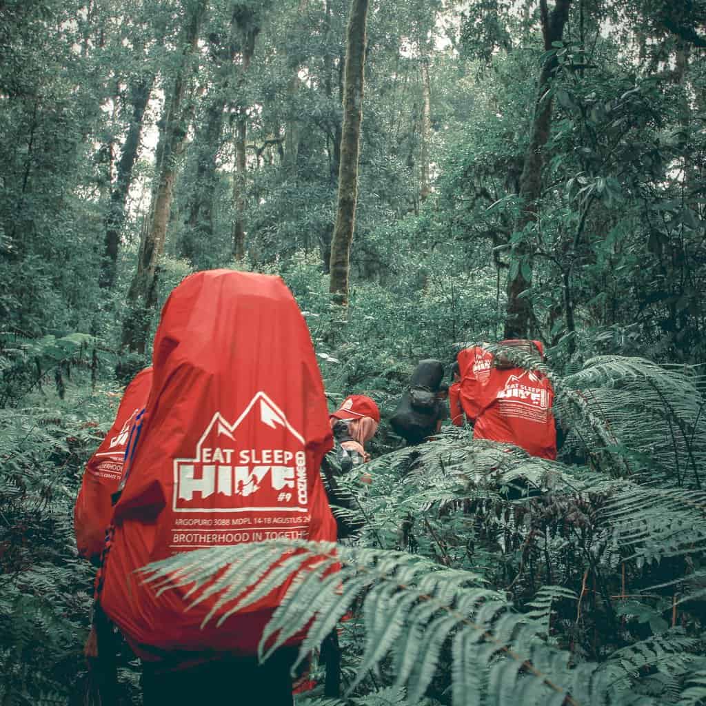 Gambar TIPS SEBELUM SUMMIT ATTACK MENUJU PUNCAK 23