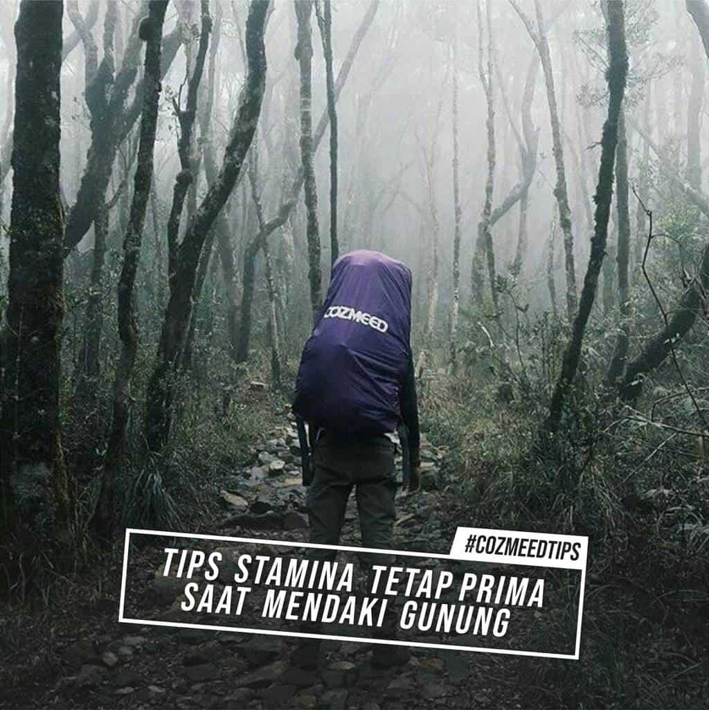 Gambar Tips Agar Stamina Tetap Prima Saat Mendaki Gunung 6