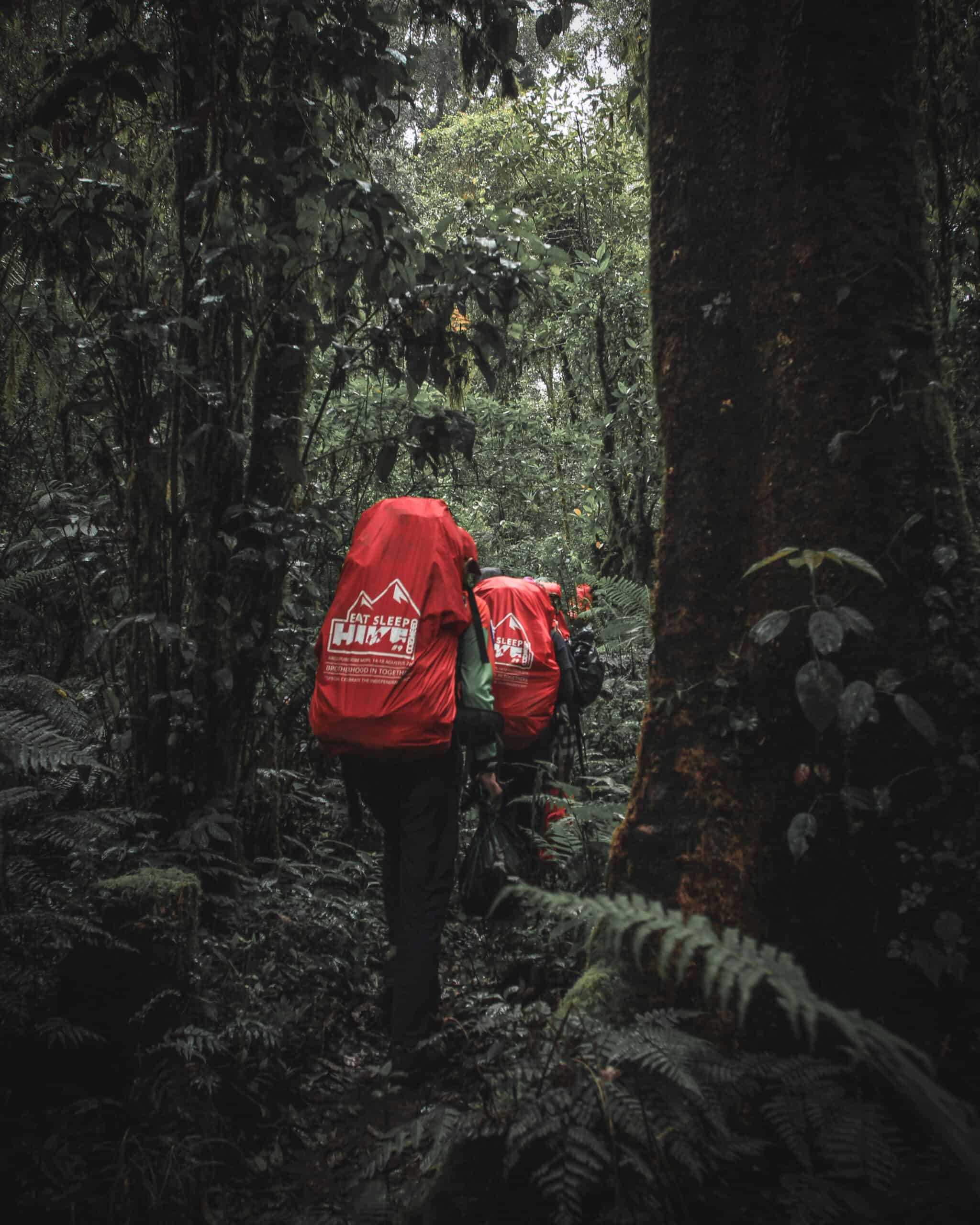 Gambar Mitos hantu-hantu yang ada dijalur pendakian gunung di Indonesia 13