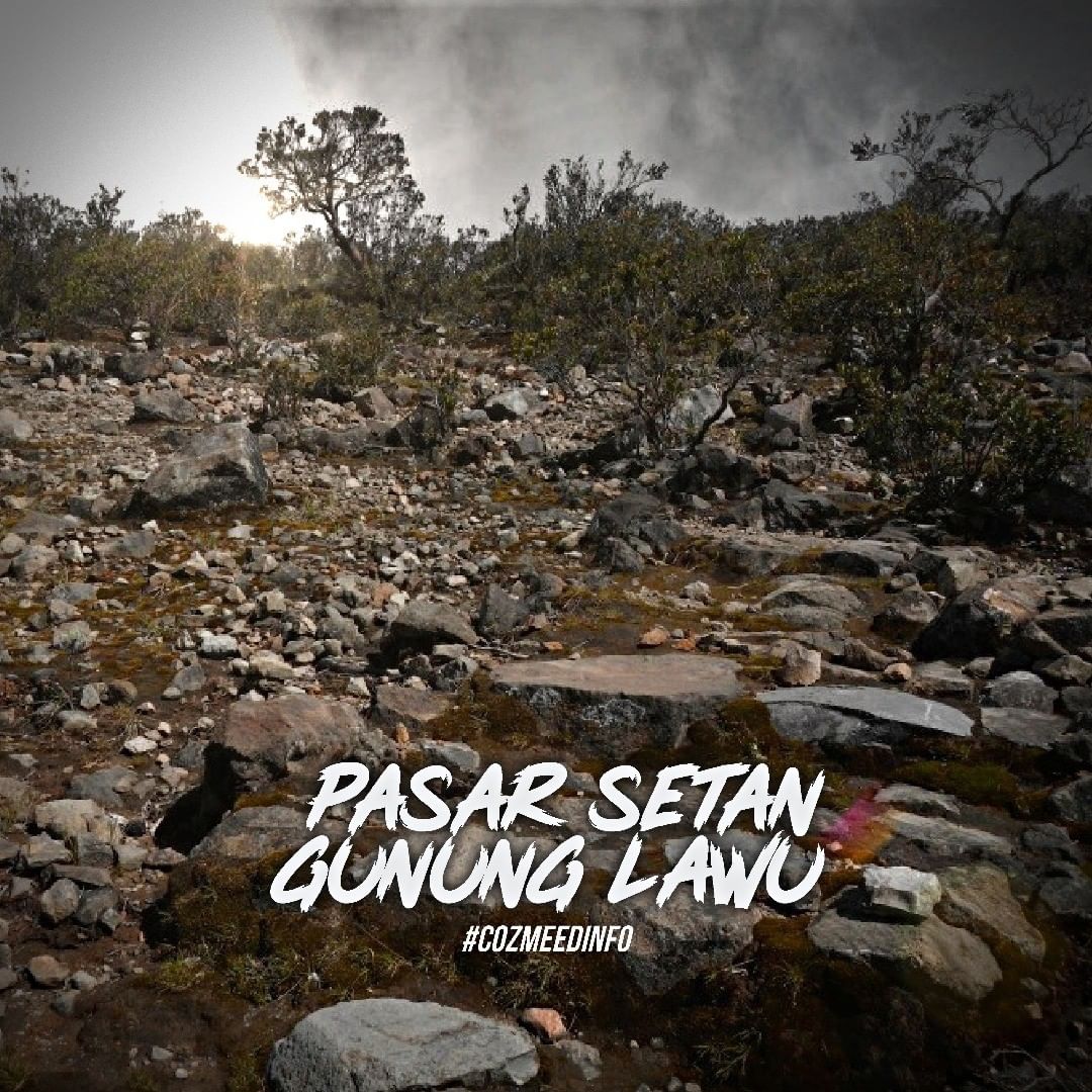 Gambar Pasar Setan Gunung Lawu 14