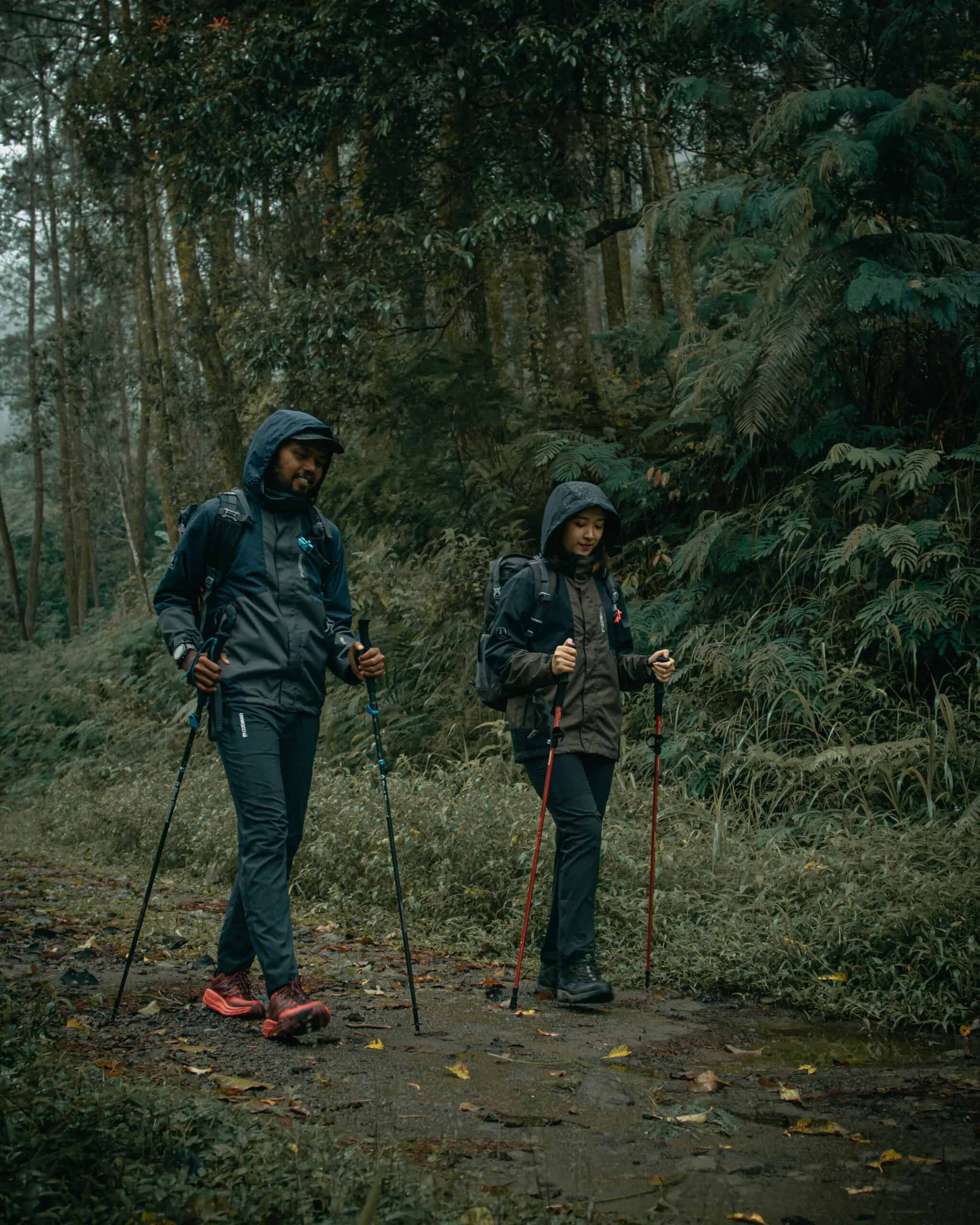 Gambar 10 Cara Memilih Jaket Gunung yang Tepat untuk Anda 23