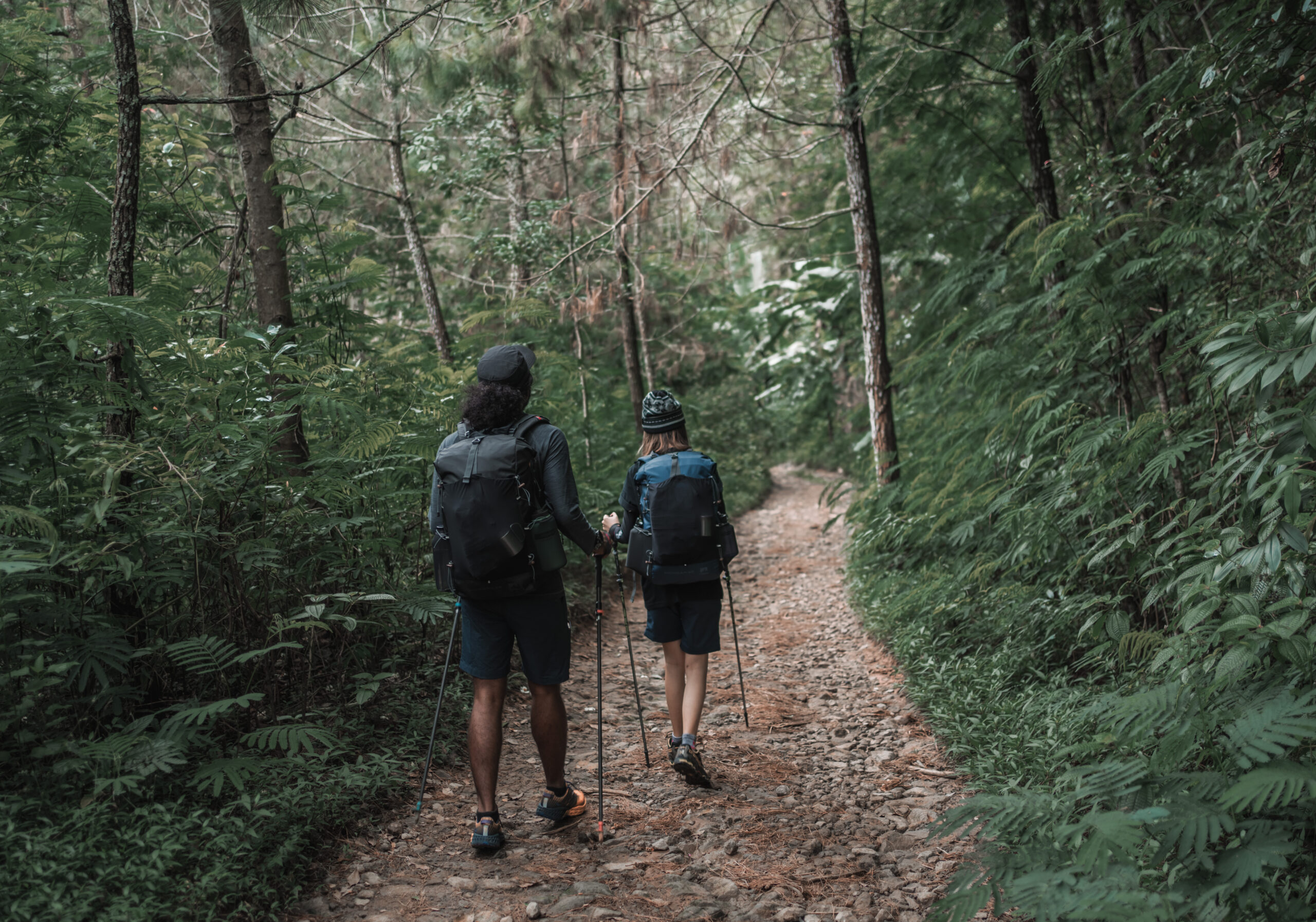 Gambar Mengatur Ritme Berjalan Saat Mendaki Gunung 11