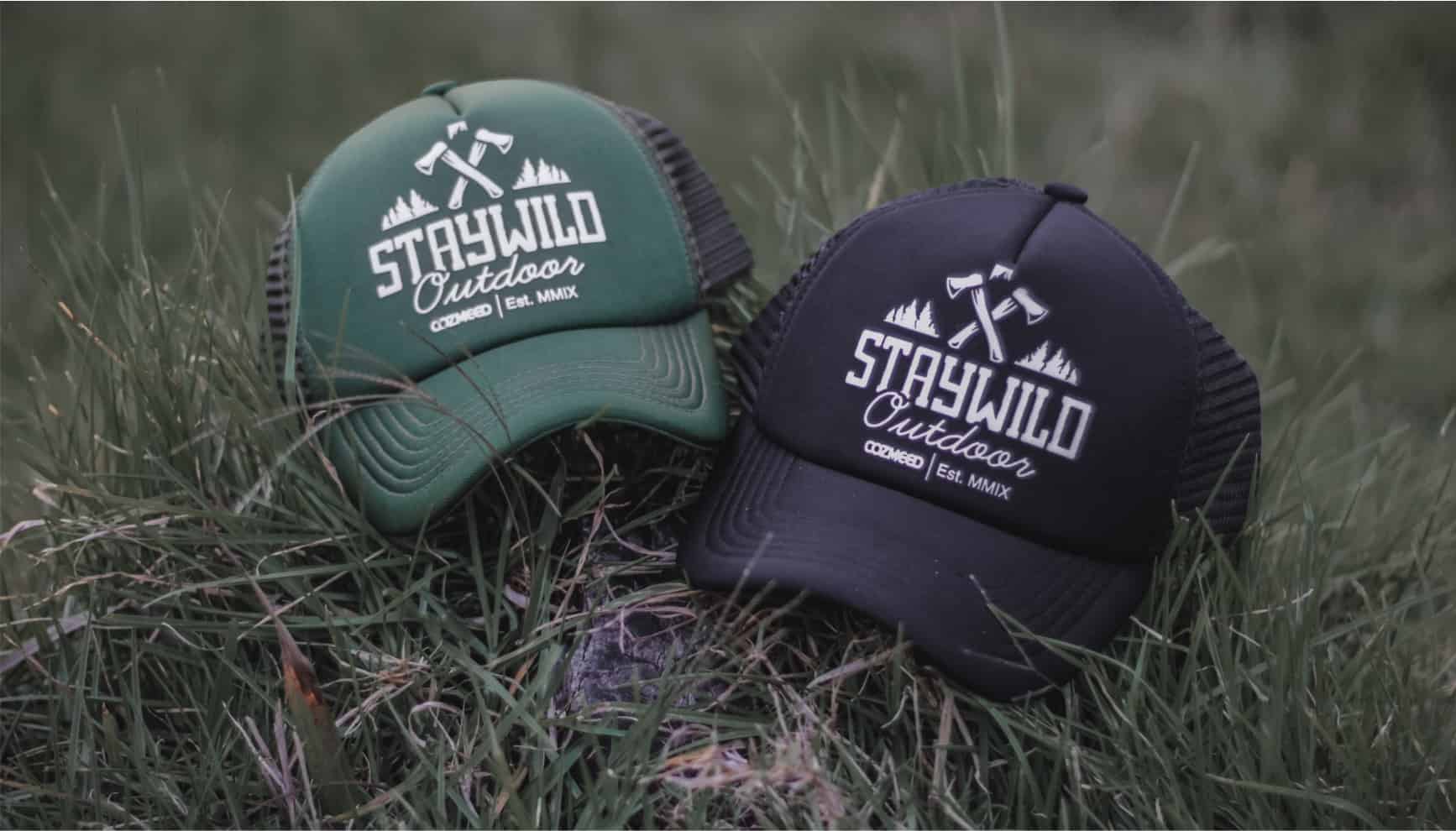 Topi